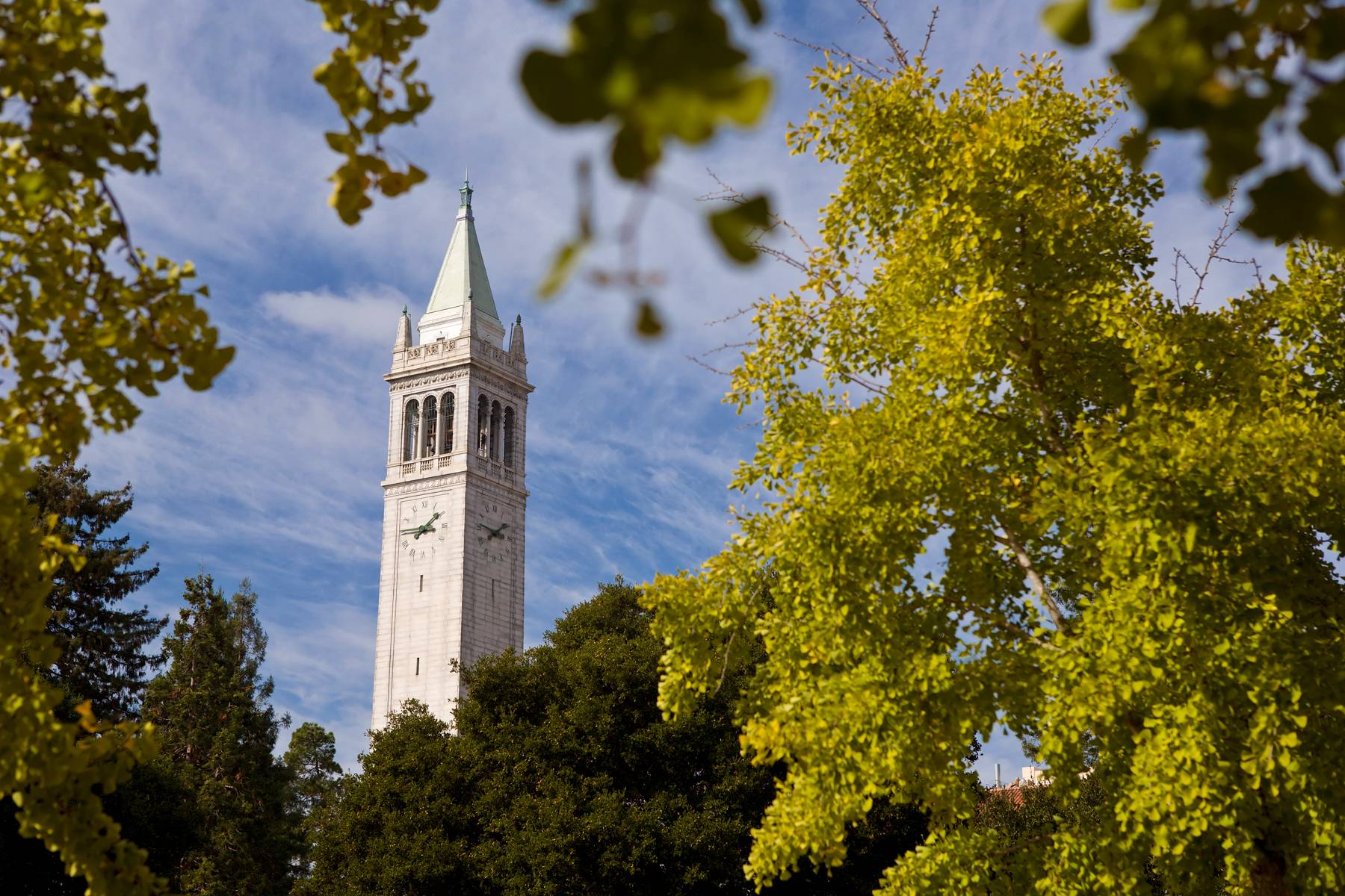 Berkeley Image